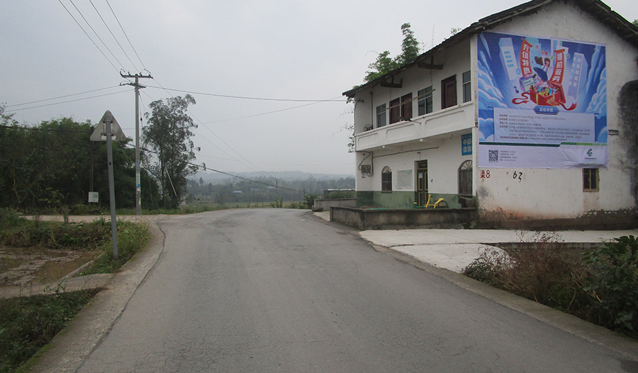 ��ϲѶ��12�������Ļ�Ϊ�ʴ�����Ͷ��ȫ����Χ���ǽ����